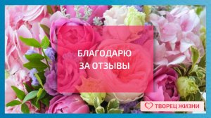 Отзыв Кати Диковой о Базовом курсе обучения регрессологии