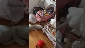 Наше чадо в поисках.mp4