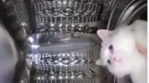 земля в илюминаторе