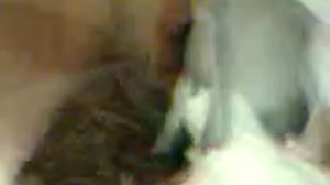 Голуби детства #4