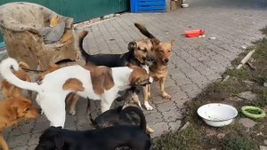 Погода сегодня просто волшебная. Словно лето к нам снова вернулось. Жаль только, что темнеет рано, т