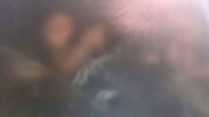 1 серия, прохождение мафии 2