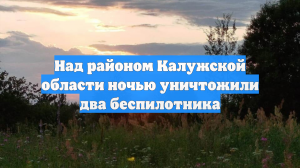 Над районом Калужской области ночью уничтожили два беспилотника