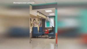 Восточное бистро в Челябинске. Вкусная еда. #рестораны