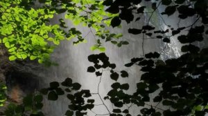 Медитация 6 чакра. Аджна. Мантры и Аффирмации в описании.