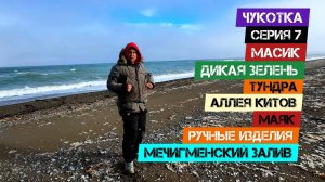 Чукотка-Серия 7. Масик. Дикая зелень. Тундра. Аллея китов. Маяк. Ручные изделия. Мечигменский залив.