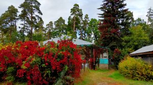 КРАСКИ ОСЕНИ