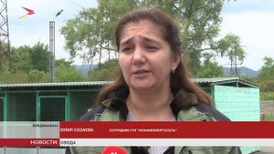 Во "Владпитомнике" состоялся день открытых дверей