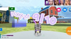 новая рубрика!