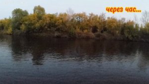 Однажды на Исети: история о неуловимой щуке 😃