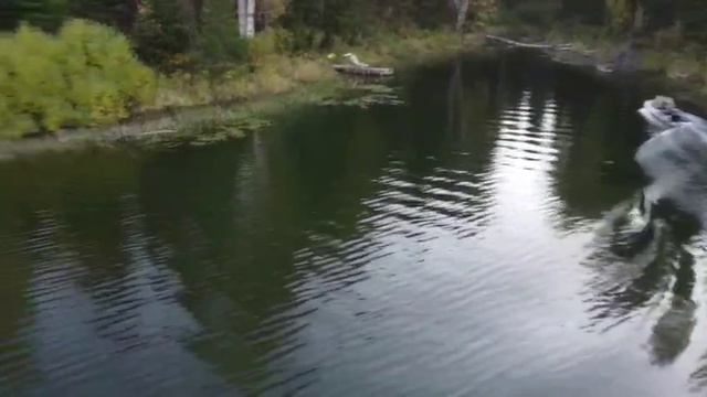 Хижина Сибиряка! Плывём!