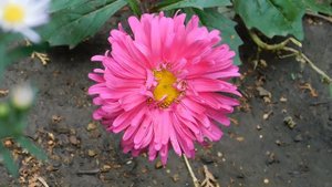 19=09=2025  кмр   (16)