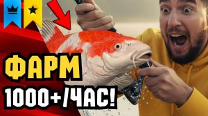 🔴 РР4 СТРИМ | НОВЫЕ ТОЧКИ для Фарма! Розыгрыш наживки в Русская Рыбалка 4