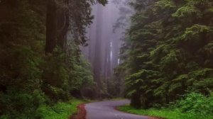 Медитация 7 чакра. Сахасрара. Мантры и Аффирмации в описании.