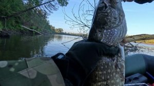 🔺️И НОВЫЙ ЗАВЕС🔺️fishing#туризм#природа#ловля#рыбалка#щука#ловлящуки#ночевка#Чулым#река#спиннинг