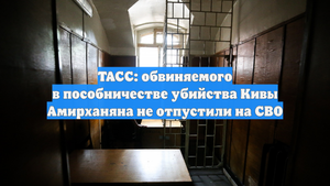 ТАСС: обвиняемого в пособничестве убийства Кивы Амирханяна не отпустили на СВО