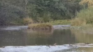 17. Река Нура. Подтеплый. 5 сентября 2025 года.