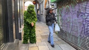 Bushman prank  and  funniest scares