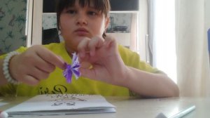 делаю дневник из обычной тетради