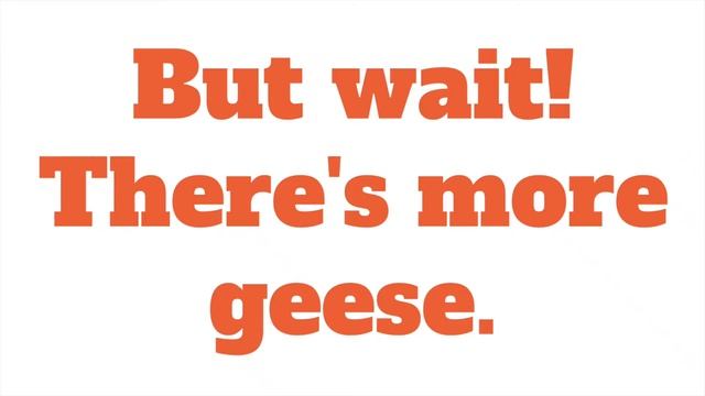 How to sneak up on Canadian geese