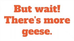 How to sneak up on Canadian geese