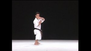 Сейенчин Бункай JKF