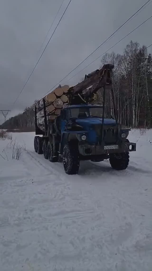кто главный зимой в лесу? лесовоз) #шортс #лесовоз #квадроцикл