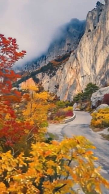 Чудо природы #жизньнаморекрым #крым #travel смотреть онлайн