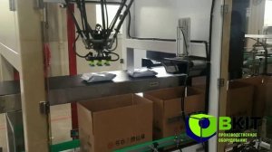 Автоматическая линия картонации в короб робот-триподом с фотодетекцией продукта.