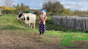 С. Есенин "Корова"