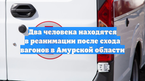 Два человека находятся в реанимации после схода вагонов в Амурской области