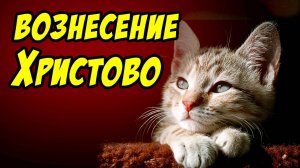 Вознесение Христово - Василий Савич. Христианские проповеди