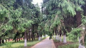 Едем в Ейск //белое поле // сентябрь 2022