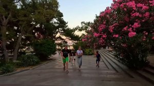 ▶️ Ялта: Пляжные Впечатления, 2025/ Крым, 2025: Море, Пляж, Собаки Жизнь на море / Крым