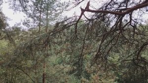 Быть честным работягой или уйти из работы по найму в организации?