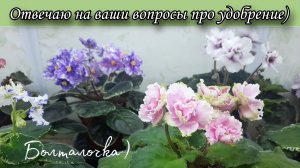 Отвечаю на ваши вопросы про удобрение, чем я пользуюсь. И покажу немного цветущих стандартов)