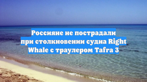 Россияне не пострадали при столкновении судна Right Whale с траулером Tafra 3