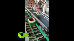 Автоматическая линия картонации в короб робот-триподом с фотодетекцией продукта.