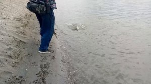 Жерех на муху! Краснодарское вдх