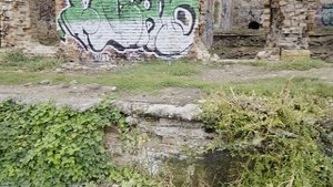 20 сентября 25г #путешествия #родники