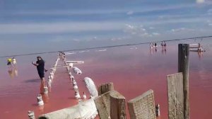 Чудеса Крыма. Озеро Сасык-Сиваш. Бархатный сезон. 17.09.25