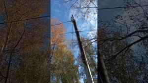 1000005239.mp4 Про мусорное видео