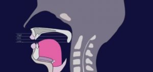 А-а-а! Артикуляция [ɒ]!" — Веселая песенка про английский звук!