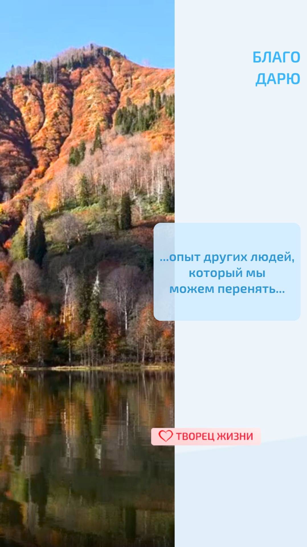 Благодарю за возможность улучшать свою жизнь, используя знания и опыт других!