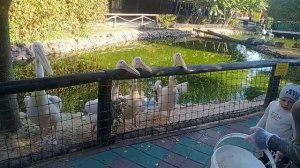 ΠΠ΅Π»ΠΈΠΊΠΈ!