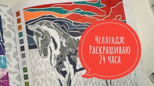 Челлендж 24 часа раскрашиваю в раскрасках по номерам