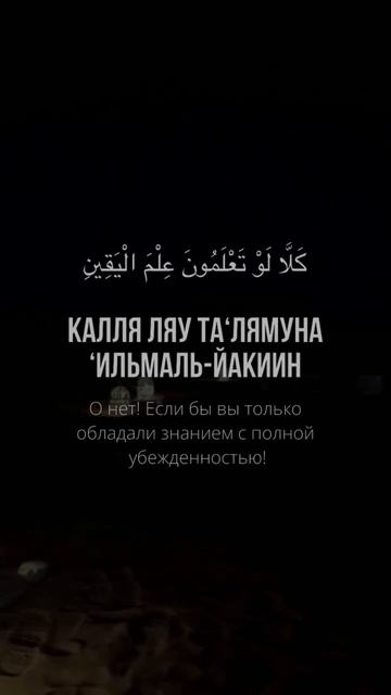 Сура Ат-Такасур смотреть онлайн