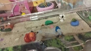 муравьи зашли в ходы в которые не заходили!