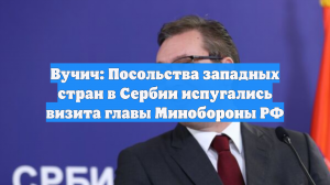 Вучич: Посольства западных стран в Сербии испугались визита главы Минобороны РФ