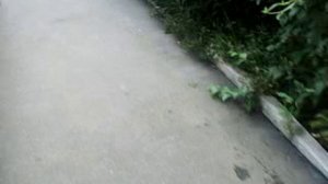 летний АВГУСТОВСКИЙ УЛИЧНЫЙ МИНИ-БЛОГ №1488 МАТРЁШКИ. ДО УНИВЕРСАМА